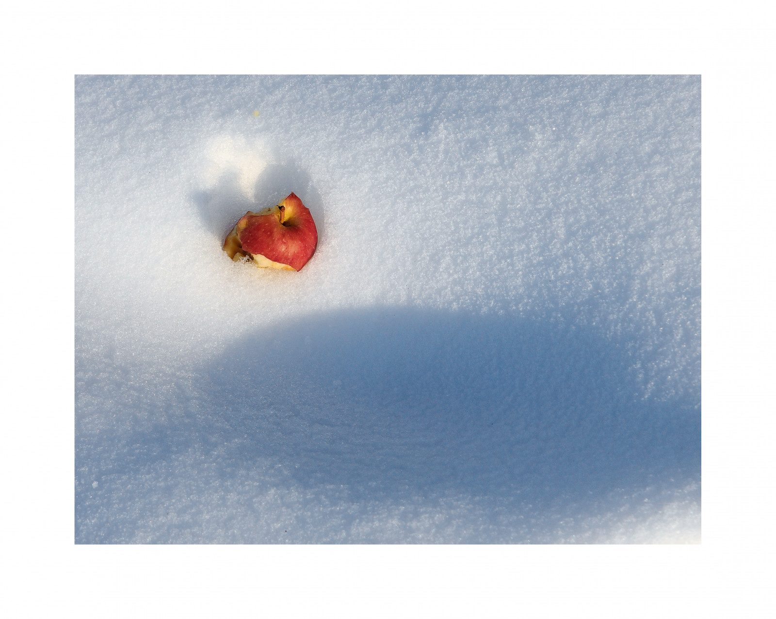 slunečnímu záření, bílý, jídlo, Červené, stín, sníh, zima, žlutý, vlajka, jablko, zavřít, nahoru, polovina, ufuktozelik