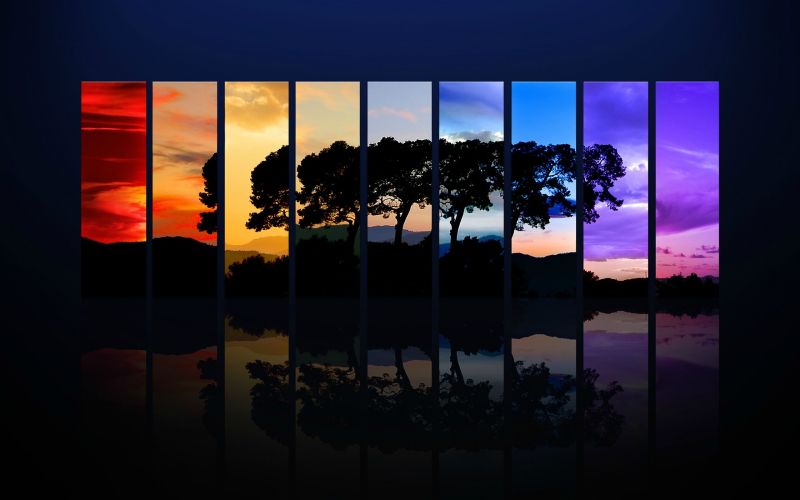 trees, sunset, night, reflection, evening, ART trees, sunset, night, reflection, evening, ART