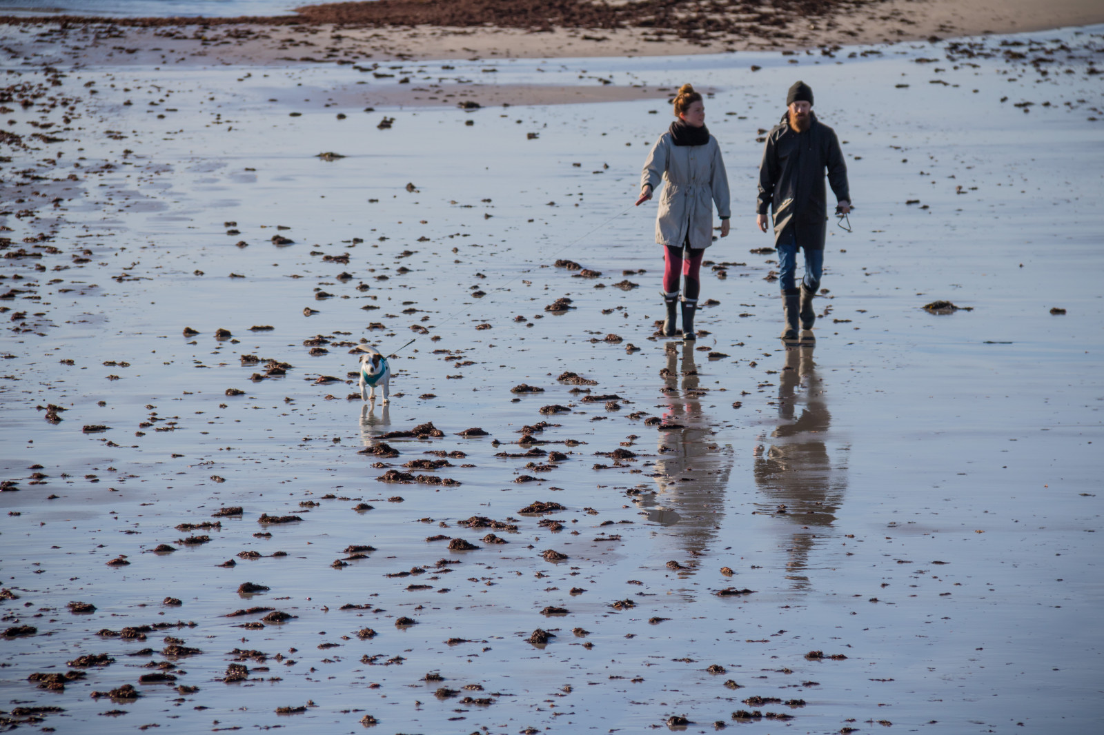 lidé, moře, voda, pobřeží, písek, odraz, sníh, zima, pláž, led, ráno, pobřeží, mokřadní, sezóna, vlna, pramen, vatten, hav, m nniskor, beddingestrand, kust, exif modelu canoneos760d, geocountry, Kamera aby kánon, geocity, Model fotoaparátu canoneos760d, geostate, geolocation, EXIF čočka efs18200mmf3556is, exif aby kánon, EXIF isospeed 100, EXIF otvor 71, exif focallength 160mm, mělčina při ústí řeky