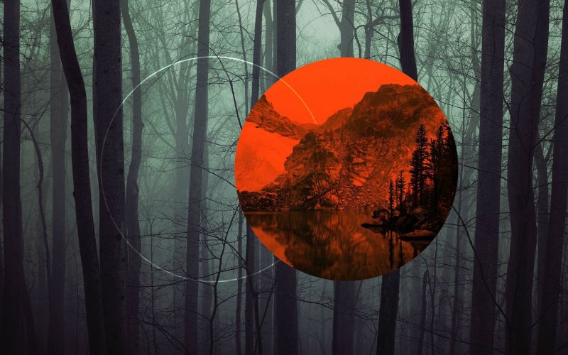 slunečnímu záření, stromy, les, odraz, polyscape, temný slunečnímu záření, stromy, les, odraz, polyscape, temný