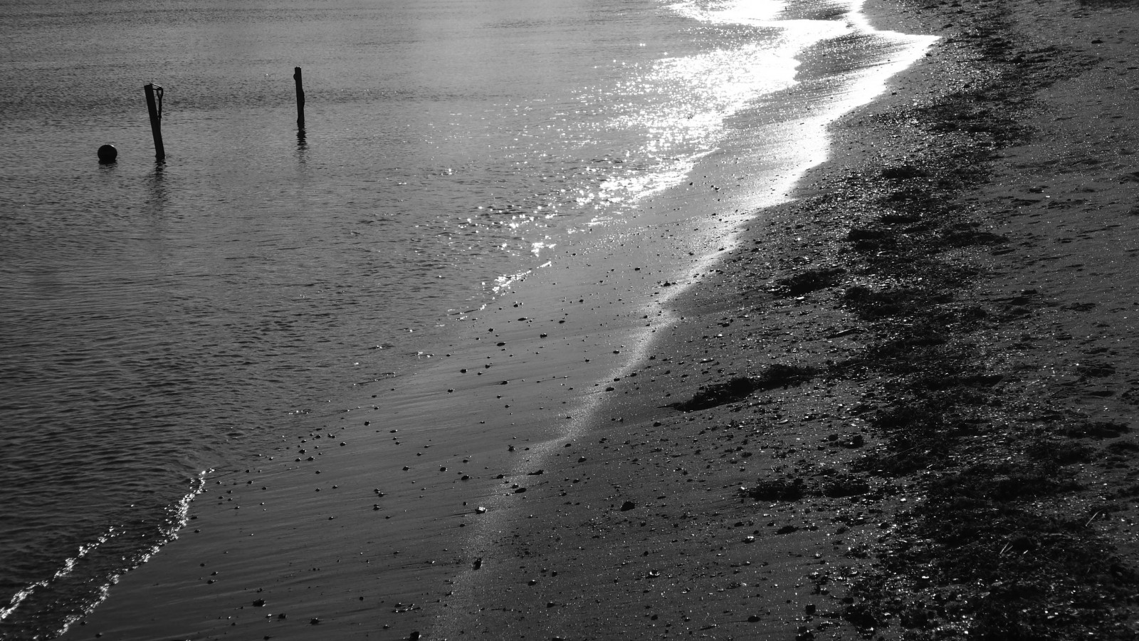 แสงแดด, ดำ, ขาวดำ, ทะเล, น้ำ, การสะท้อน, ชายหาด, บรรยากาศ, เดนมาร์ก, เงียบสงบ, ที่เดิน, สวย, สภาพอากาศ, bw, มหาสมุทร, คลื่น, ทะเล, Danmark, บรรทัด, ความมืด, องค์ประกอบ, ปรากฏการณ์บรรยากาศ, ดำและขาว, ถ่ายภาพขาวดำ, nordjylland, bangsbostrand, frederikshavn