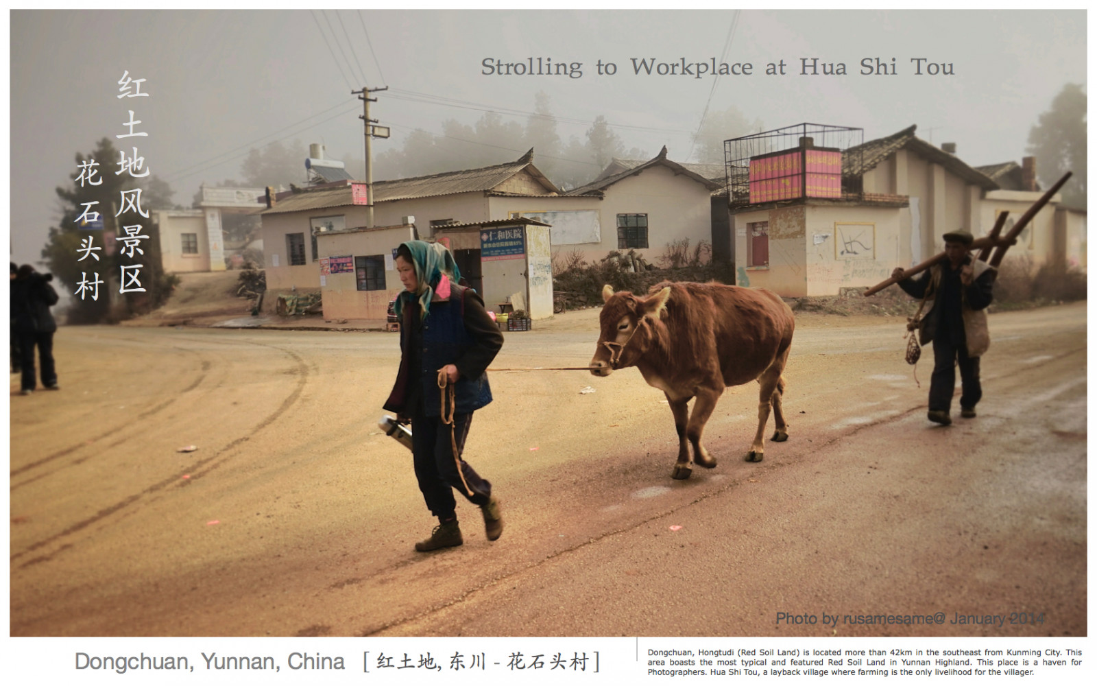 krajina, Čína, kůň, fotografování, Země, vesnice, ráno, mlha, Instagram, hospodařit, fotograf, Sony, Býk, polního, scenérie, hora, hospodářská zvířata, dědictví, alfa, a7, sonya7, Yunnan, dobytek, jako je savec, vůl, kůň jako savci, pack animal, dongchuan, Redland, Hongtudi, Redsoil