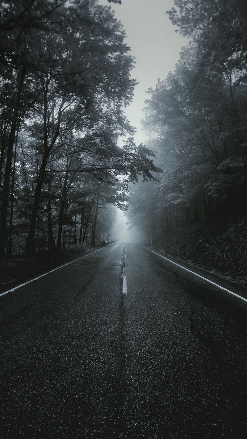 1242x2208 px, paesaggio, visualizzazione verticale, verticale 1242x2208 px, paesaggio, visualizzazione verticale, verticale