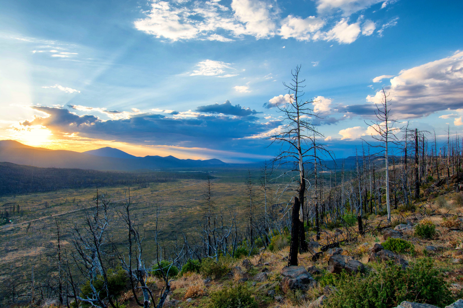 Wallpaper California, trees, sunset, clouds, creek, forest, landscape