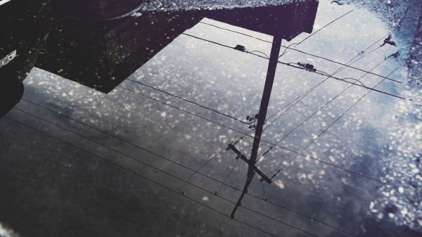 water,sky,wood,cloud,road surface,asphalt