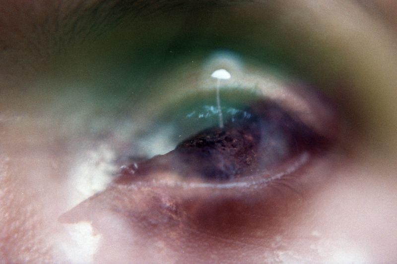 eye, eyebrow, close up, eyelash, macro photography, lip eye, eyebrow, close up, eyelash, macro photography, lip