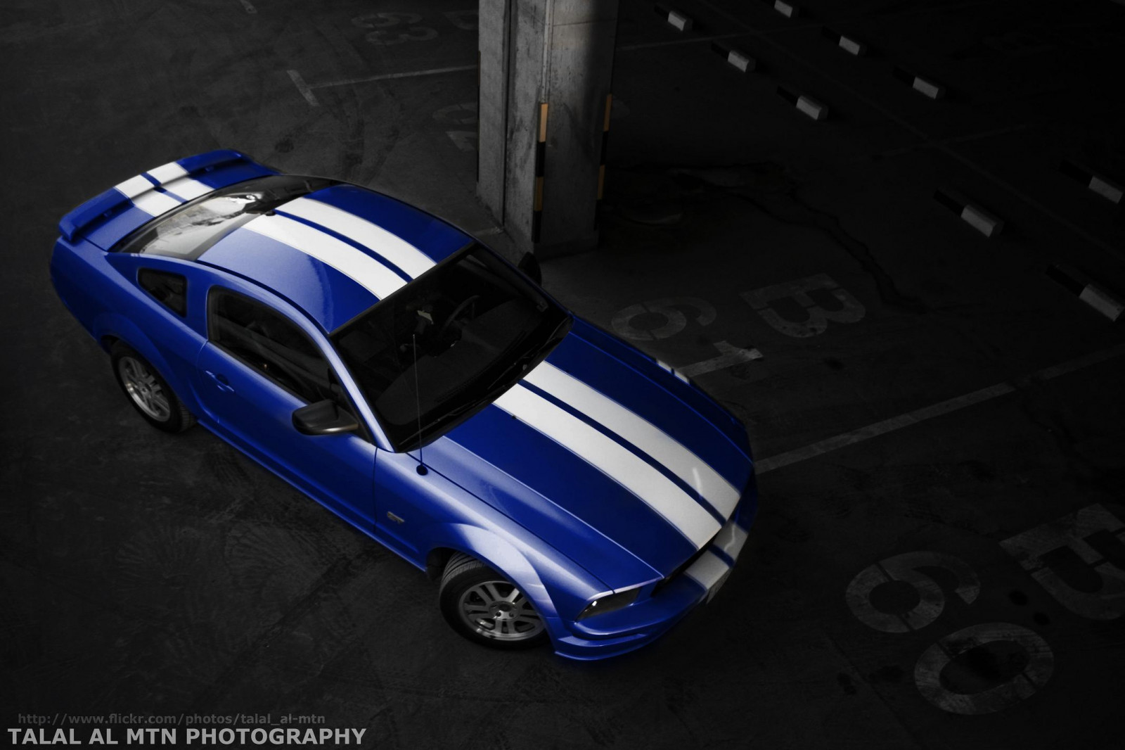 auto, veicolo, fotografia, blu, cappuccio, auto sportiva, Guado, Shelby, macchina di spettacolo, 2010, parcheggio, cobra, GT, Mustang, leggero, ruota, SVT, oscurità, V8, Ford Mustang, settore automobilistico, Stange, sfondo del computer, design automobilistico, esterno automobilistico, modello di auto, auto della polizia, auto compatta, veicolo a motore, modalità di trasporto, city ​​car, 50l, q8, auto full size, kWt, blu elettrico, mustang, sovralimentato, LM10, talalalmtn, mustanggt, lx, illuminazione automobilistica, bule, mustangcobra, Almtn, Talalalmtnphotography, 3v, Mustangsvt, Mustanglx, Mustang50, 4v, Mustangshelby, 46l, Bluemustang, Foto di kuwaitphotography, Mustangv8, Superchargedmustang, Mustang2010, Mustanginkuwait, Mustang2011, Fordmustangsupercharged, Supersneak, Phtotographybytalalalmtn, Automotivesphotography, Mustangsupercharged, Cammedmustang, Talalalmtnmustang, Bluestange