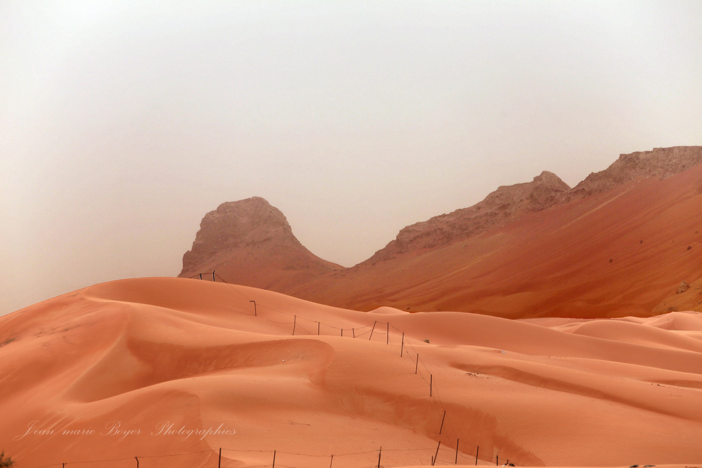 Eau0997, cesta, cestovat, Emirates, Emiratsarabesunis, jmboyer, nationalgeographie, canon6d, Gettyimages, geo, fotky, YAHOO, duna, sobol, poušť, Photoyahoo, eau, imagesgoogle, Photog o, osamělý, obrázek, viajes