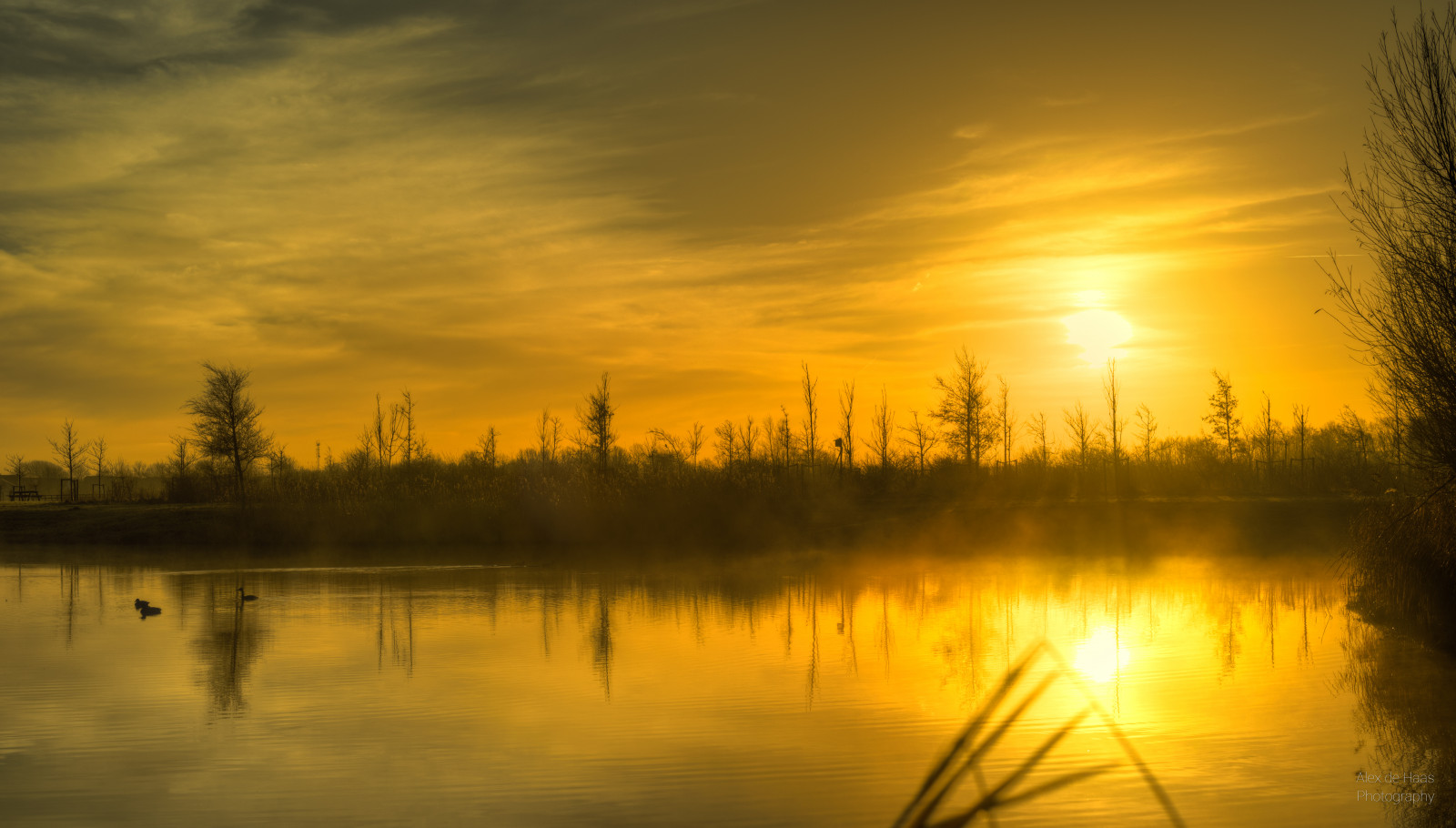 50mm, d5, diepsmeerpark, HDR, Holandsko, hollandseluchten, nederland, Nizozemí, NIKKOR, nikkor50mm, Nikon, nikond5, noordholland, Nizozemí, westfriesland, baretrees, Krásná, krása, Bomen, bomenrij, výložník, boomgrens, Buiten, buitenshuis, daglicht, denní světlo, fieryskies, mlha, mlhavý, kapesní, highdynamicrange, kalebomen, krajina, Landschap, licht, světlo, mlha, mistig, mlhavý, mooi, ráno, přírodní rezervace, natuurgebied, ochtend, orangeskies, venkovní, venku, park, Plas, polder, rybník, Recreatiegebied, rekreace, recreationalarea, reflectie, odraz, schoonheid, nebe, nebe, Skyfire, slunce, svítání, sunriselight, strom, treeline, stromy, Vijver, teplý, voda, waterplas, weerspiegeling, zima, zon, zonsopgang