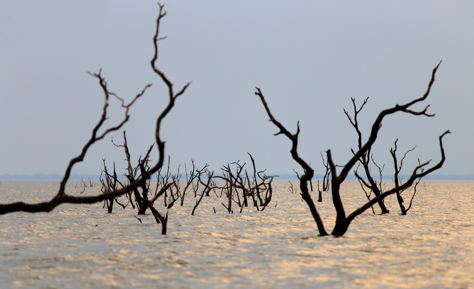 krajina, jezero, voda, Příroda, rostliny, zima, větev, Afrika, mrtví, Zambie, 2014, strom, cestovat, Landschaft, pták, natur, eveninglight, stádo, 6d, ngc, wasser, baum, npc, canoneos6d, afrika, mrně, Pflanzen, reisen, anymotion, landschaftsaufnahmen, savana, abendlicht, migrace ptáků, migrace zvířat, Stausee, Sambia, artificiallake, kafuenationalpark, Kafue, itezhitezhi, itezhitezhidam
