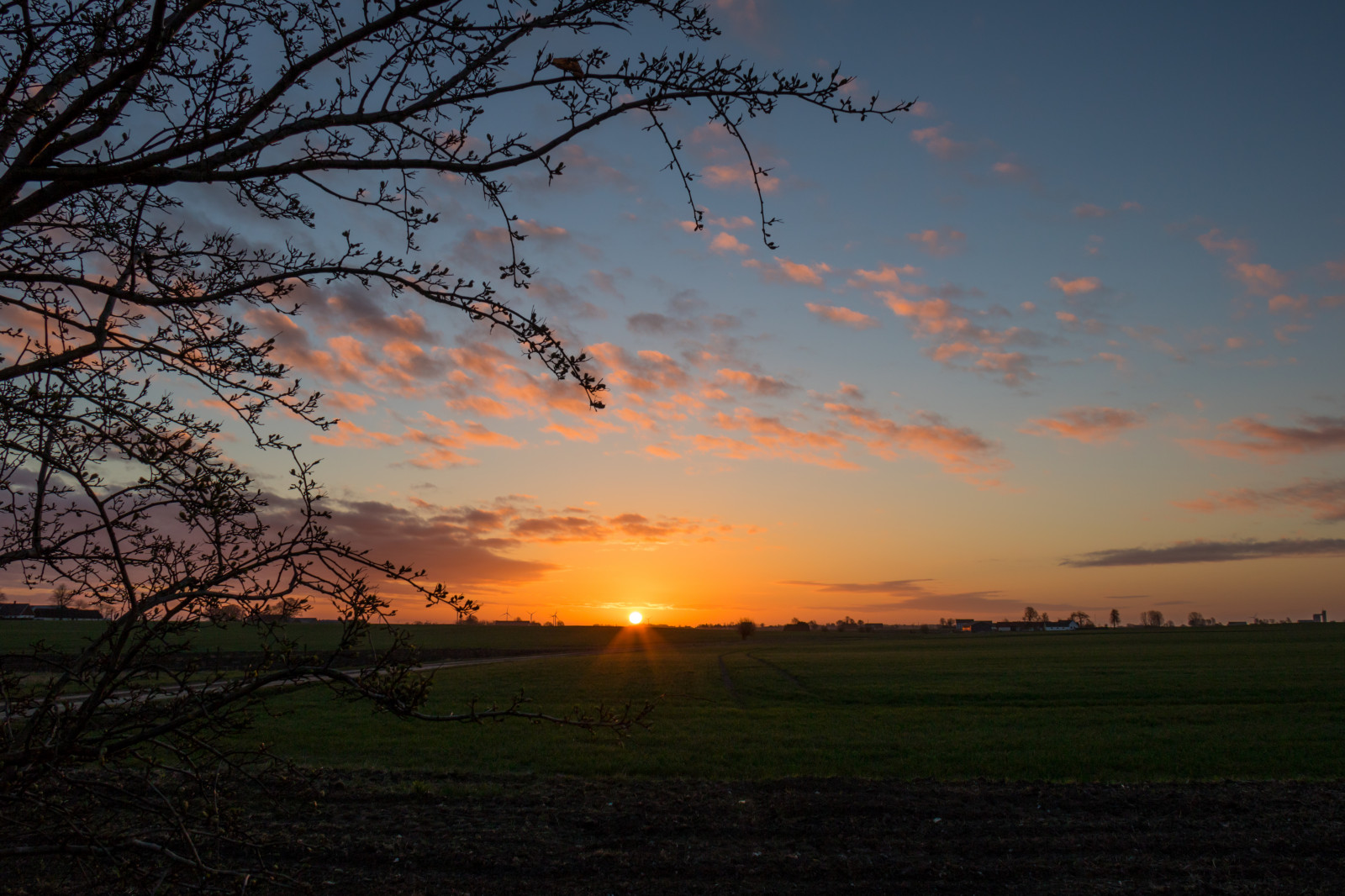 sollys, landskab, solnedgang, natur, himmel, Mark, solopgang, aften, morgen, Sol, horisont, skumring, Sky, træ, daggry, himmel, landskabet, Moln, landsbygd, soluppg ng, s dersl tt, landskap, almindeligt, prærie, atmosfærisk fænomen, efterglød, rød himlen om morgenen