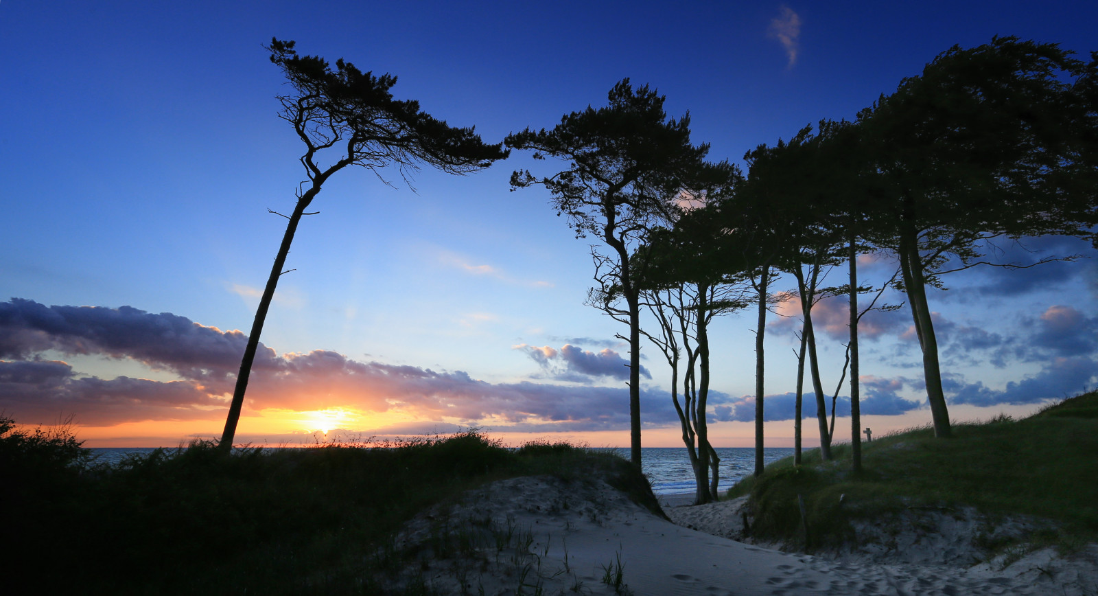 slunečnímu záření, krajina, les, západ slunce, kopec, Příroda, tráva, nebe, svítání, večer, ráno, Kánon, horizont, atmosféra, letní, soumrak, narozený, mrak, strom, západ slunce, hora, svítání, rostlina, pobřeží, přímořská krajina, pramen, Meklenbursko-Přední Pomořansko, Ostsee, sonnenuntergang, Ahrenshoop, Prerow, baum, mraky, syn, b UME, meer, Baltské moře, abendstimmung, k ste, počítač tapeta, odlesk, dřevina, meteorologický jev, Ufer, abends, Dars, Weststrand, windfl chter, Dunen, Fischlanddarszingst, Darswald, Darsforest