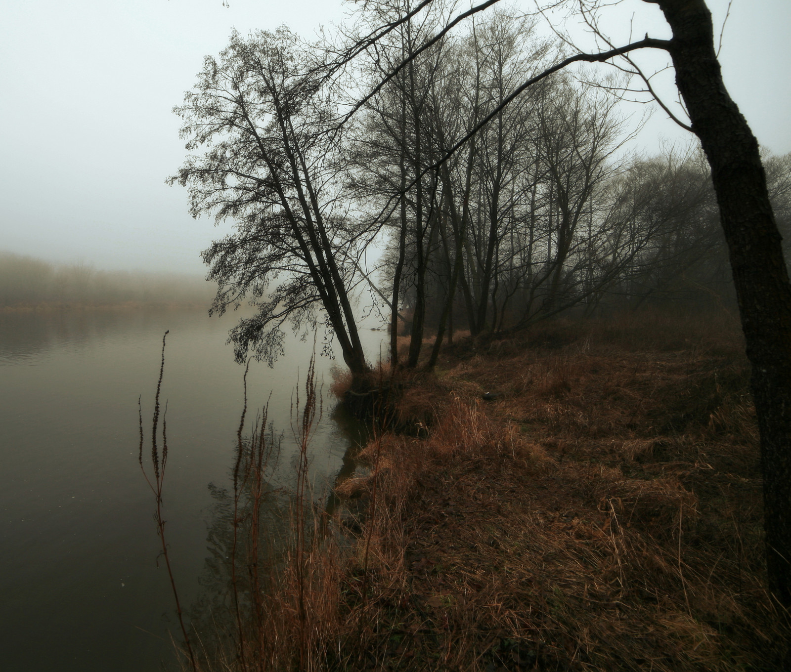 แสงแดด, แนวนอน, ป่า, เนินเขา, ทะเลสาบ, น้ำ, ธรรมชาติ, การสะท้อน, หญ้า, ฤดูหนาว, สาขา, ตอนเย็น, เช้า, หมอก, แม่น้ำ, Canon, ถิ่นทุรกันดาร, ต้นไม้, ทัศนียภาพ, ฤดูใบไม้ร่วง, หมอก, ใบไม้, สภาพอากาศ, รุ่งอรุณ, ปลูก, ฤดู, mg a, drohiczyn, ซีซาร์, marcelxyz, เขตชนบท, ถิ่นที่อยู่, สภาพแวดล้อมทางธรรมชาติ, ปรากฏการณ์บรรยากาศ, ไม้ยืนต้น