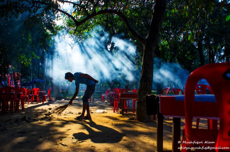 træ, vedplante, plante, fotografering, fritid, sjovt
