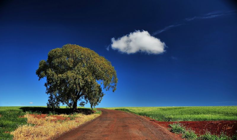 2048x1212 px,clouds,field,landscape,trees