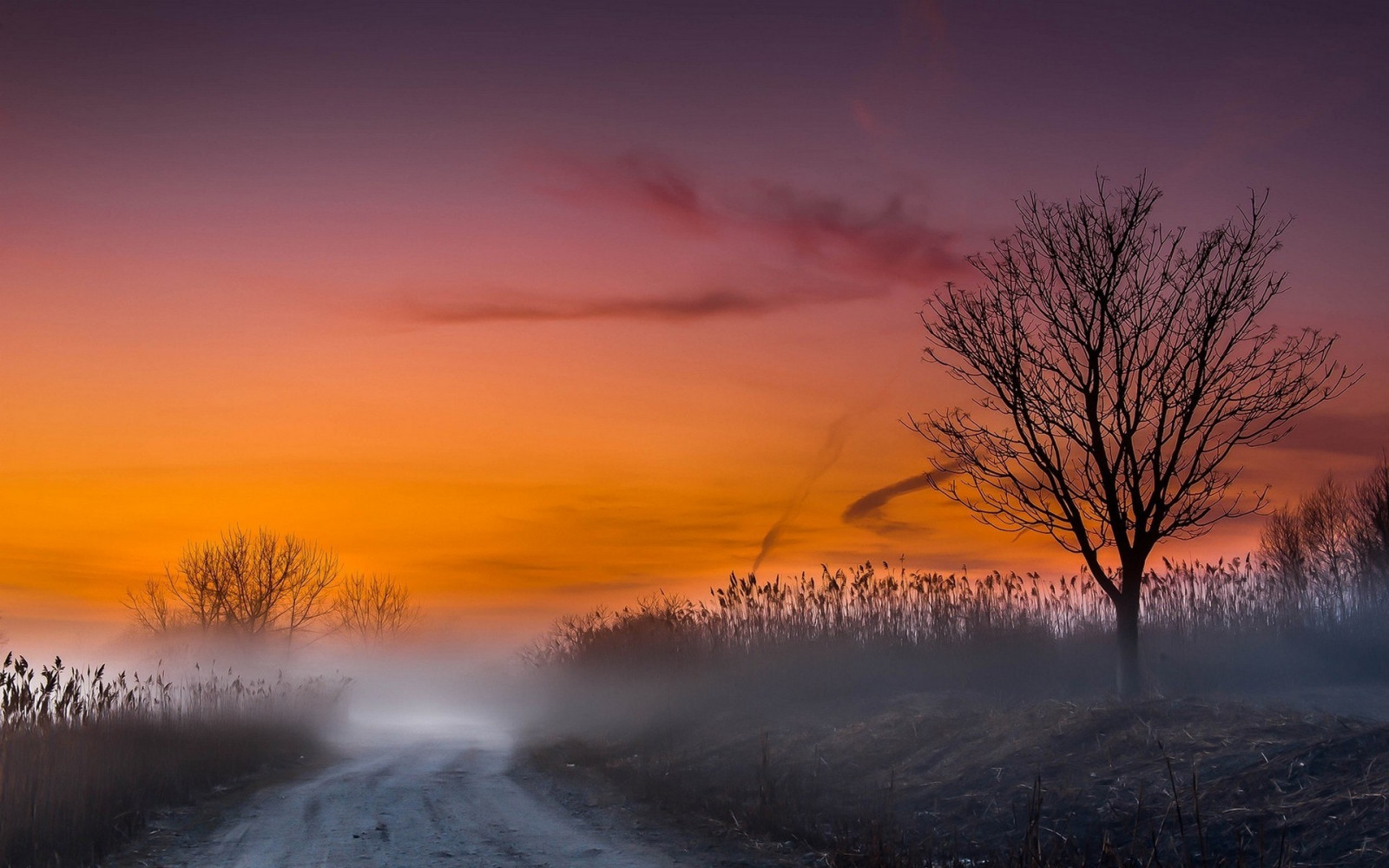 slunečnímu záření, stromy, krajina, západ slunce, Příroda, sníh, zima, pole, silnice, svítání, žlutý, večer, ráno, mlha, mráz, horizont, atmosféra, soumrak, zmrazení, mrak, strom, mlha, počasí, svítání, sezóna, prérie, atmosférický jev, odlesk, červená obloha v dopoledních hodinách