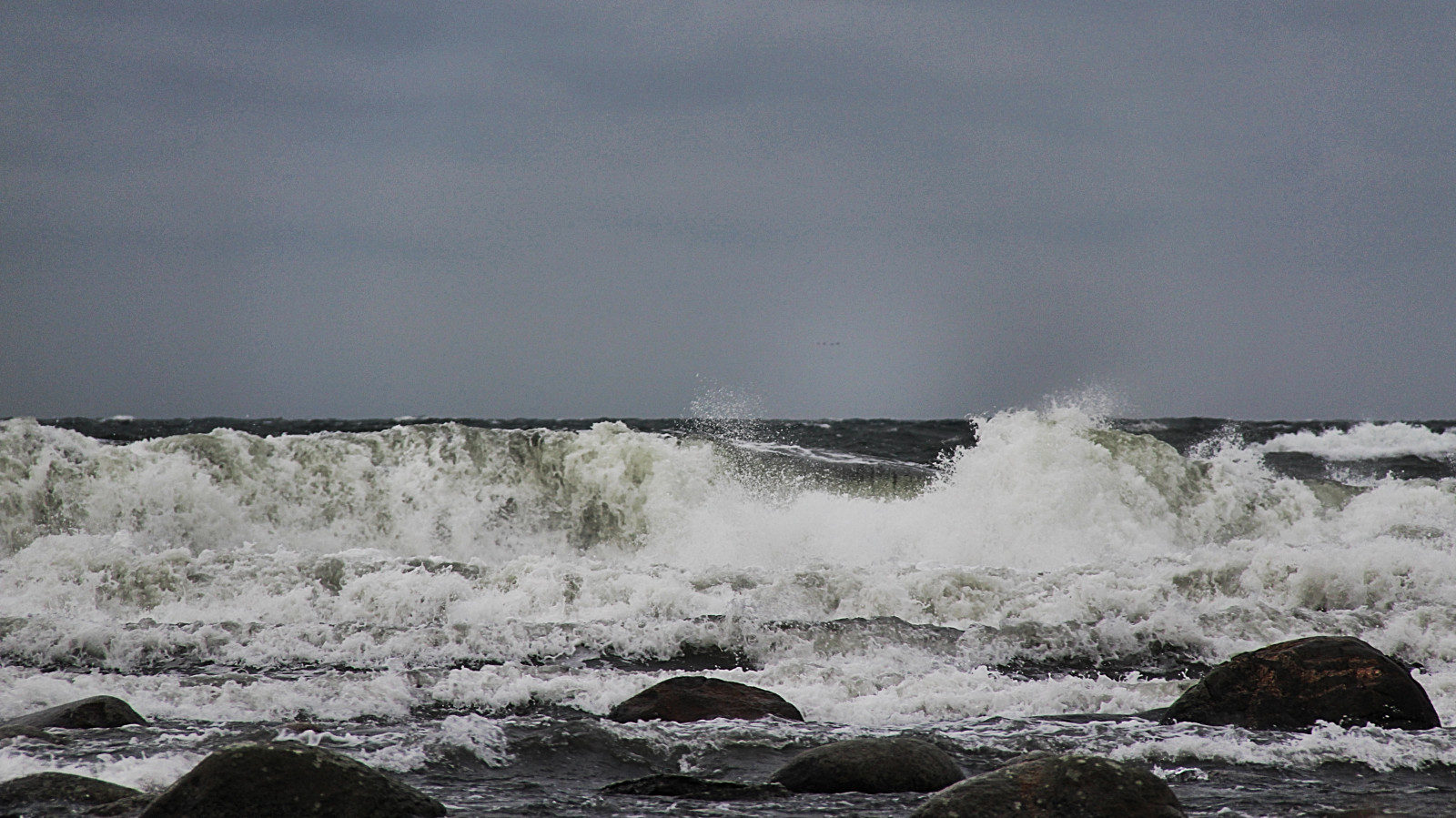 gisl vshammar, sterlen, attackfoto, moře, hav, attackfoto2