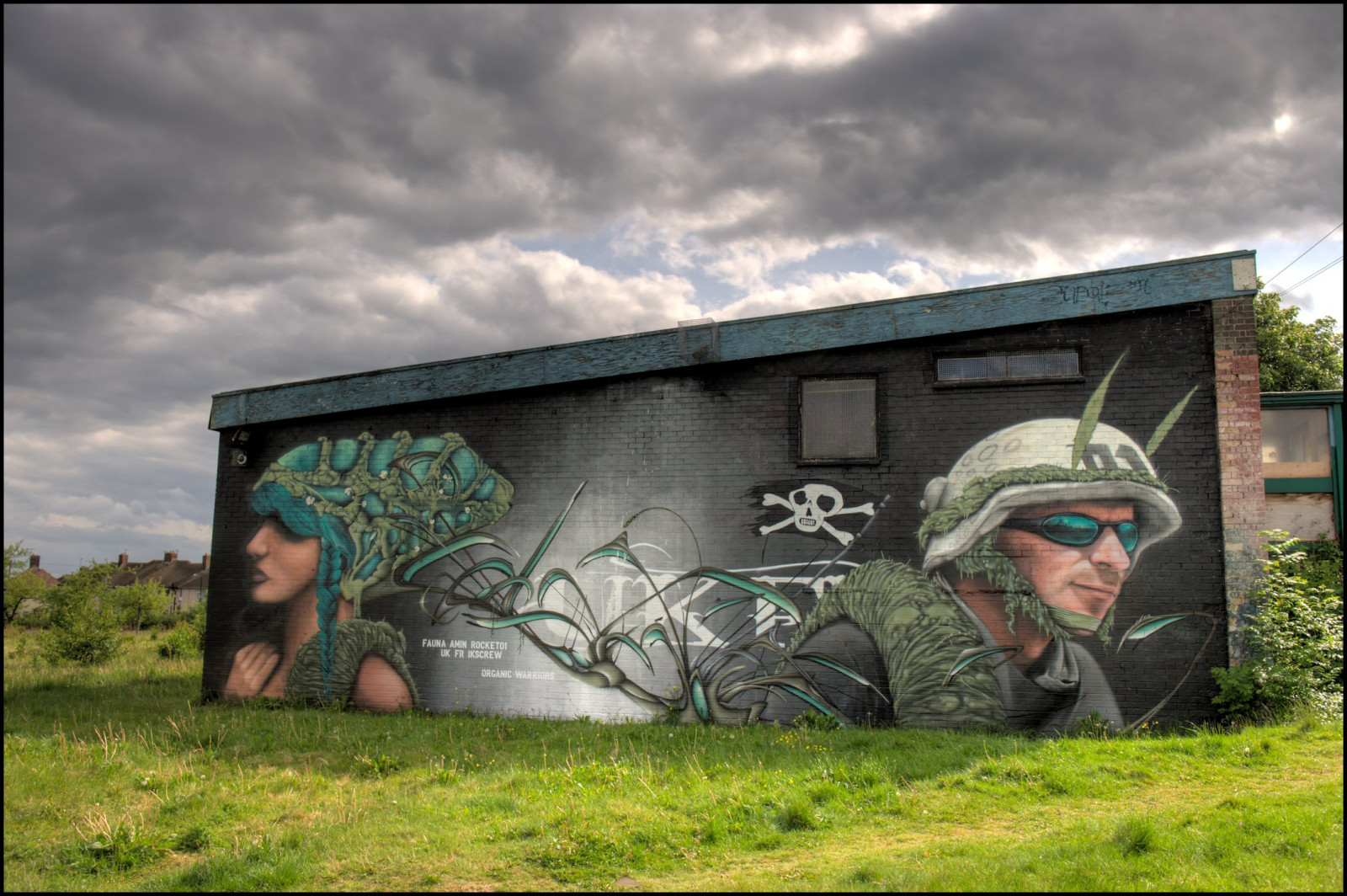 ARTE, graffiti, Sheffield, razzo, guerrieri, biologico, Amminico, rocket01, faunagraphic