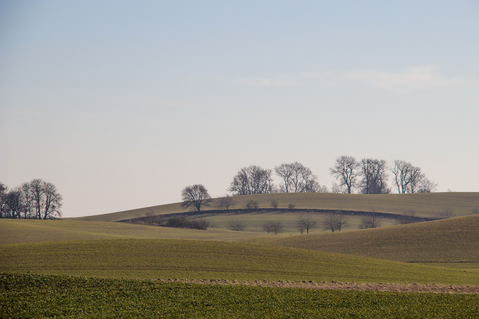 krajobraz, wzgórze, Natura, trawa, niebo, pole, ranek, gospodarstwo rolne, wiatr, horyzont, Chmura, drzewo, łąka, Wieś, Landskap, Backe, rolnictwo, Równina, preria, obszar wiejski, Zjawisko atmosferyczne, Atmosfera ziemi