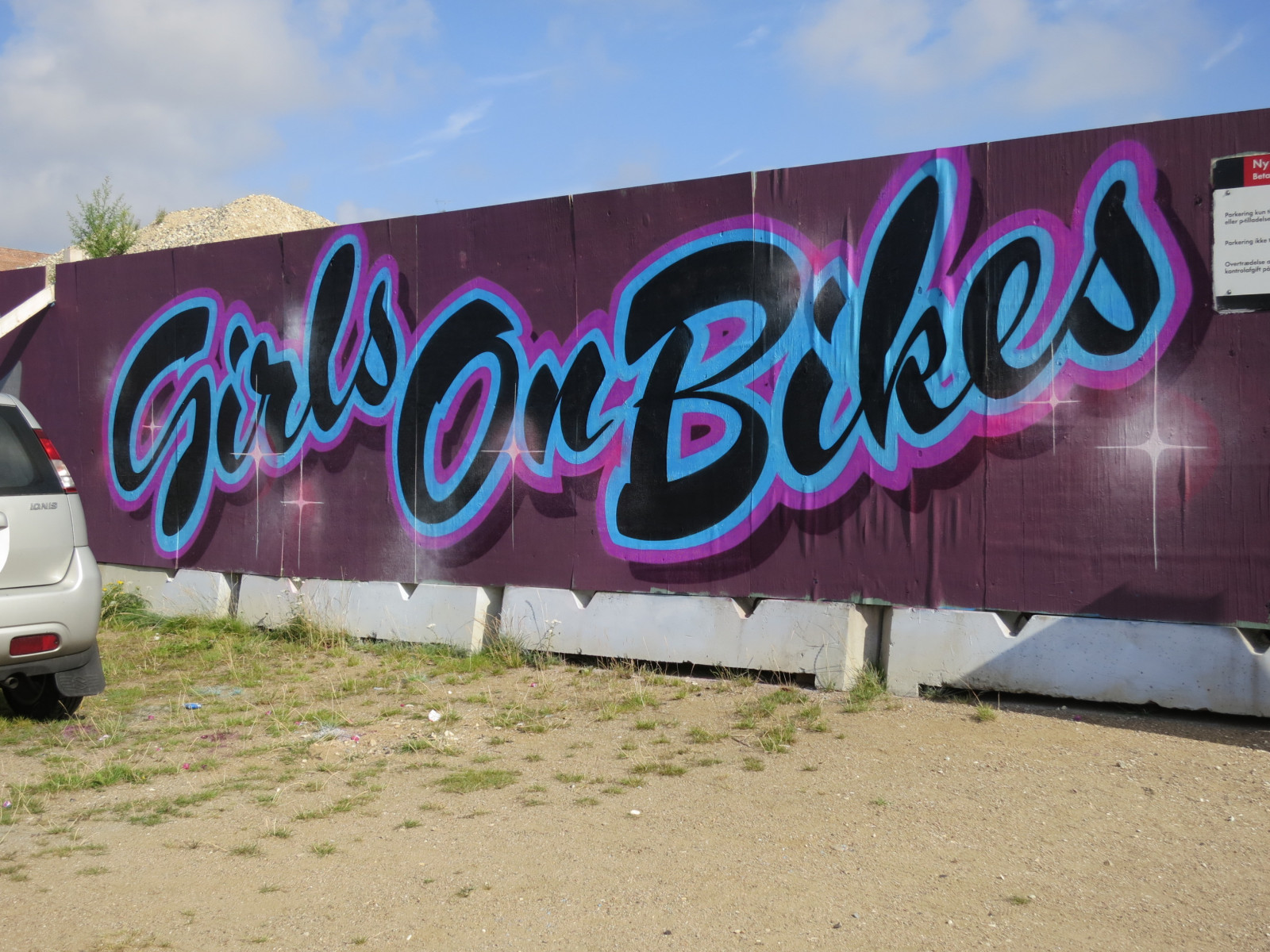 viola, graffiti, arte di strada, rosa, murale, Copenhagen, ARTE, la zona, pubblicità, segnaletica, gary