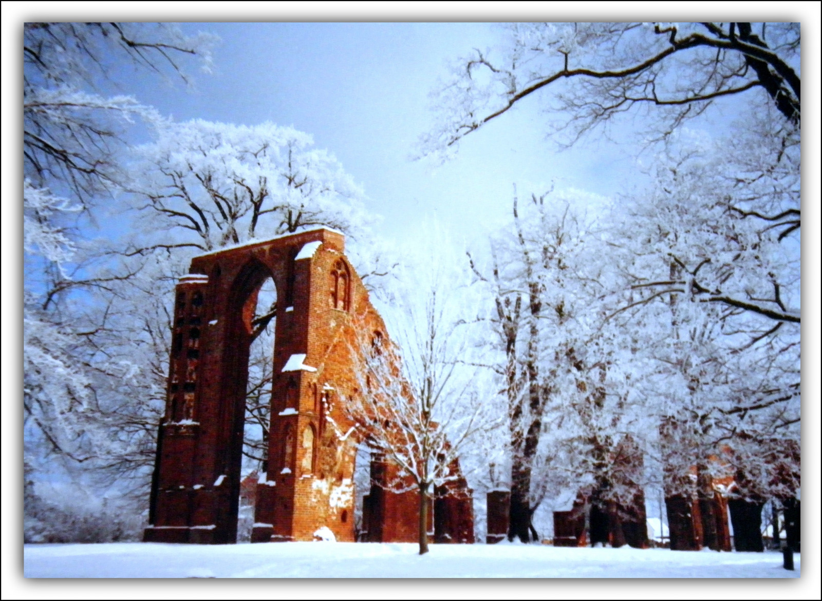 budova, nebe, sníh, zima, větev, Dům, led, mráz, zmrazení, strom, mygearandme, deutschland, Meklenbursko-Přední Pomořansko, domů, musictomyeyeslevel1, fasáda, xii, Greifswald, Eldena, Jahrhundert, 23012012, klostenruine