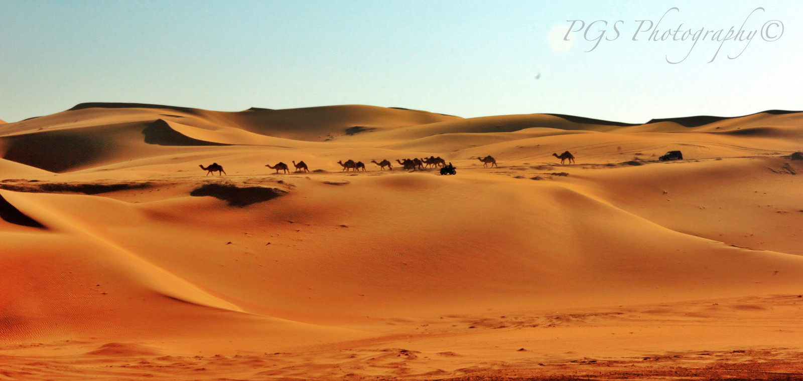 krajina, písek, nebe, poušť, velbloudi, duna, Sahara, Formace, Emirates, nahrané flickrmobile, flickriosapp filtr nofilter, velbloud, stádo, prostý, geologie, vádí, Liparské landform, ERG, abu, ekoregion, dhabi, zpěv písek