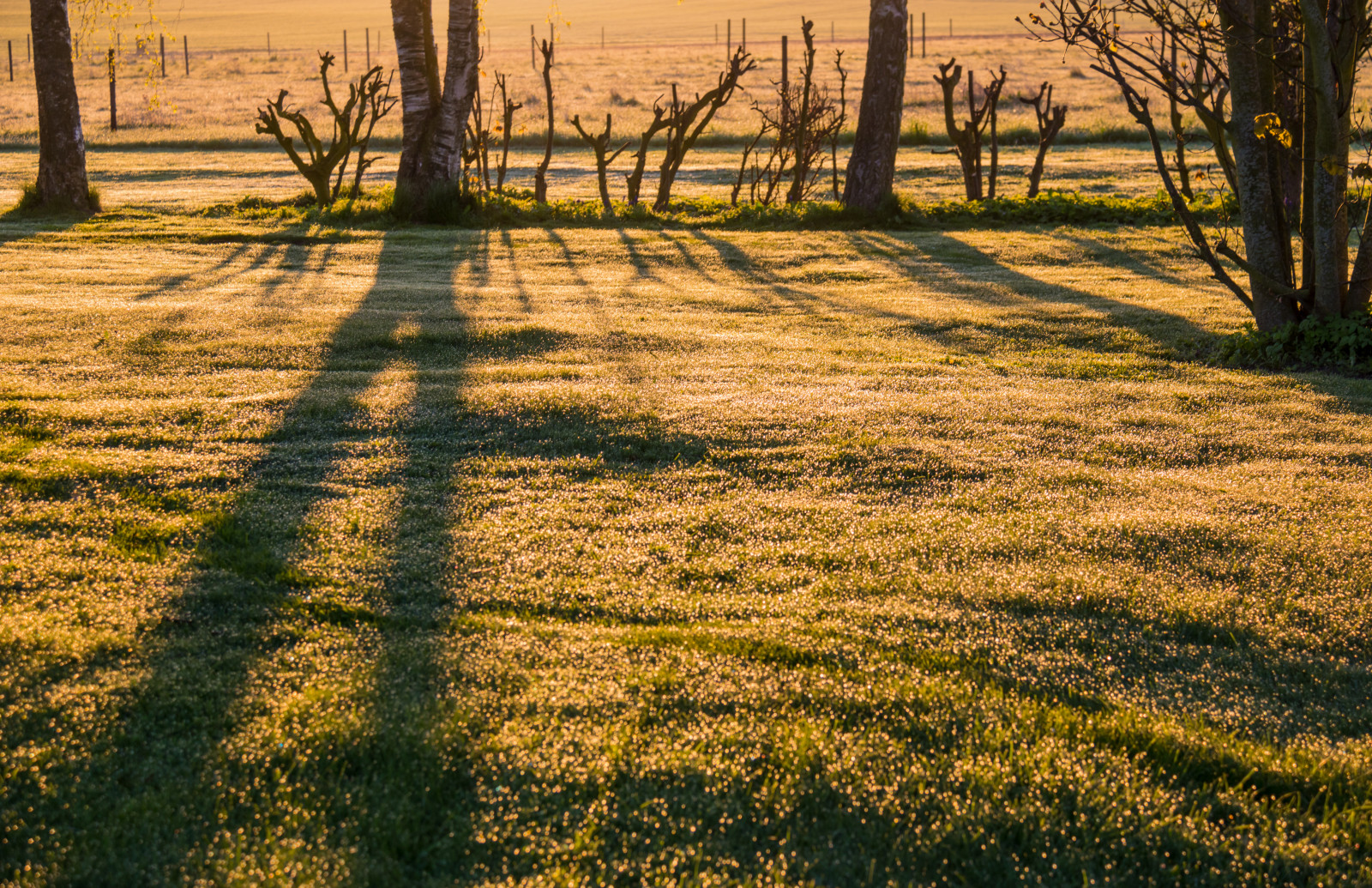 Wallpaper Sunlight Landscape Sunset Nature Park Shadow Field Wallpaper Sunlight Landscape Sunset Nature Park Shadow Field
