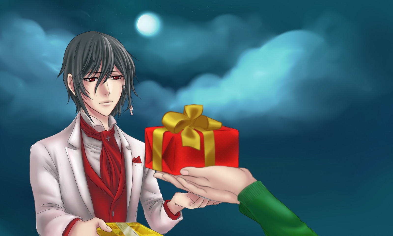 2611x1572 px, 圣诞, noblesse