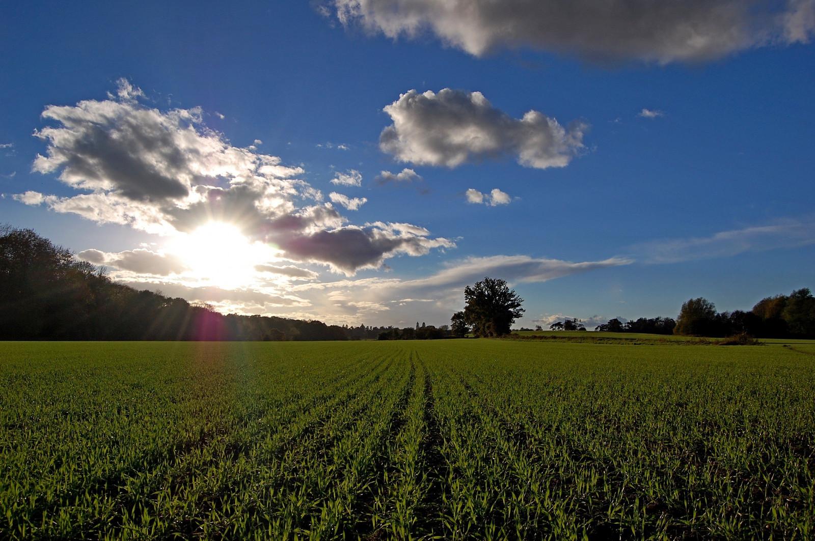 slunečnímu záření, krajina, temný, západ slunce, město, Příroda, odraz, tráva, nebe, stín, zima, déšť, pole, svítání, modrý, Studený, večer, ráno, kouzlo, slunce, hospodařit, horizont, atmosféra, Slunný, cesta, plodiny, jaro, jasný, ostrý, Ostrost, řepkového, světlo, mrak, strom, podzim, zakalený, Procházka, Pohled, lučina, deštivý, blinkagain, barva, detail, barvy, řepka, zemědělství, louka, plantáž, prostý, 1001nights, 1001nightsmagiccity, thegalaxy, během dne, energie, rememberthatmomentlevel5, prérie, oříznutí, magiccity, nocí, venkov, počítač tapeta, Atmosféra Země, tráva rodina, meteorologický jev, kupa, pěšina, hořčice závod, neloupané pole, jev, Suffolk, 1001