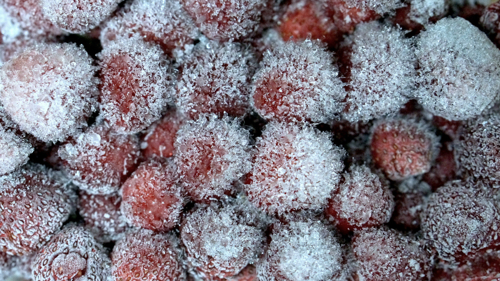 Červené, Brazílie, led, zamrzlý, sladký, Porto Alegre, jahody, riograndedosul, flickrfriday, Sweetsurprise