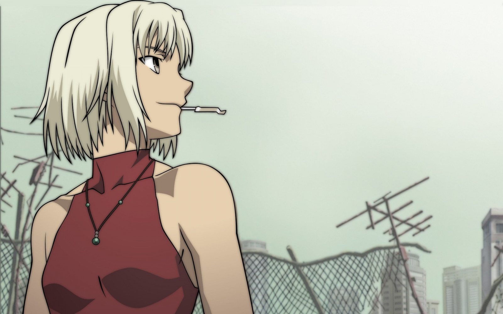 výkres, ilustrace, anime, kreslená pohádka, černé vlasy, pusa, Canaan, skica, Snímek obrazovky, mangaka