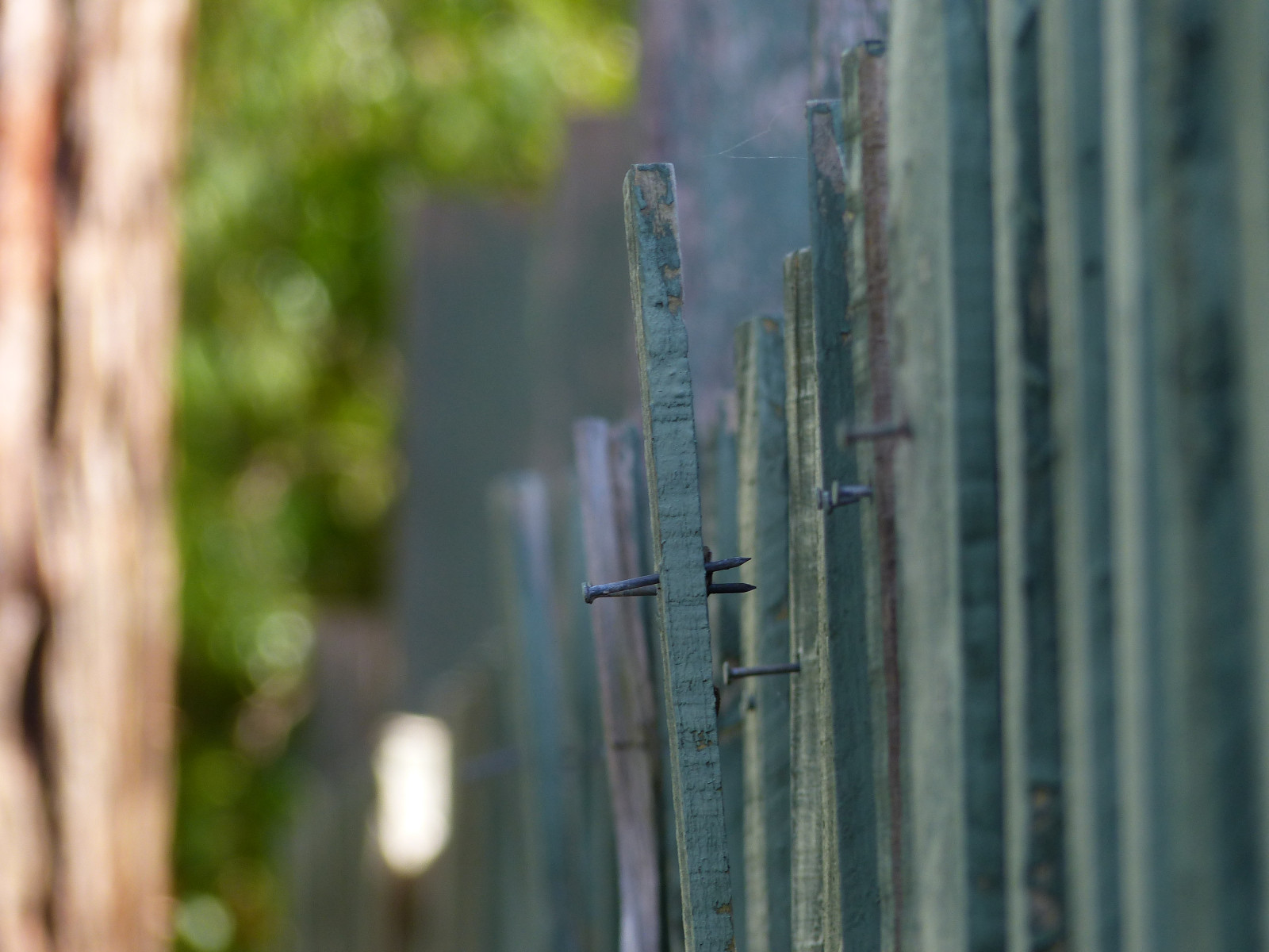 Wallpaper fencefriday, hff, fence, paling, wooden, timber, loose