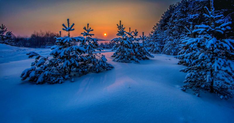 paesaggio, natura, alberi, tramonto, mare, la neve paesaggio, natura, alberi, tramonto, mare, la neve