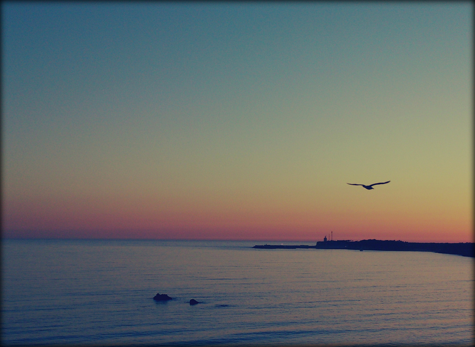 ท้องฟ้า, ทะเล, ขอบฟ้า, มหาสมุทร, เงียบสงบ, พระอาทิตย์ตก, น้ำ, พระอาทิตย์ขึ้น, ฝั่ง, บรรยากาศ, บรรยากาศของโลก, เช้า, รุ่งอรุณ, พลบค่ำ, สายัณห์, ตอนเย็น, ทะเล, คลื่น, coastal and oceanic landforms, ชายฝั่ง