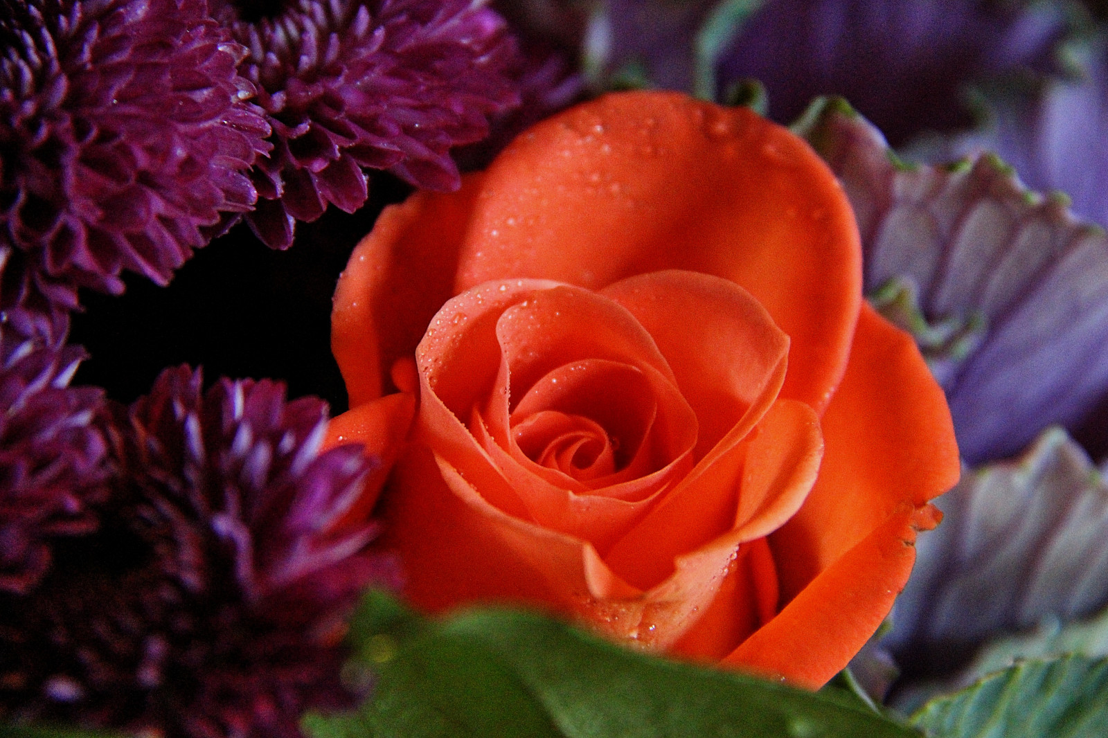 Wallpaper flowers, red, Canon, rose, pink, flora, bukett, blommor