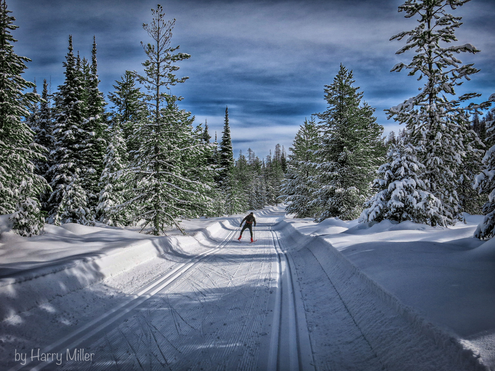 Fondos de pantalla esquiar, esquiador, a campo traviesa, Montana