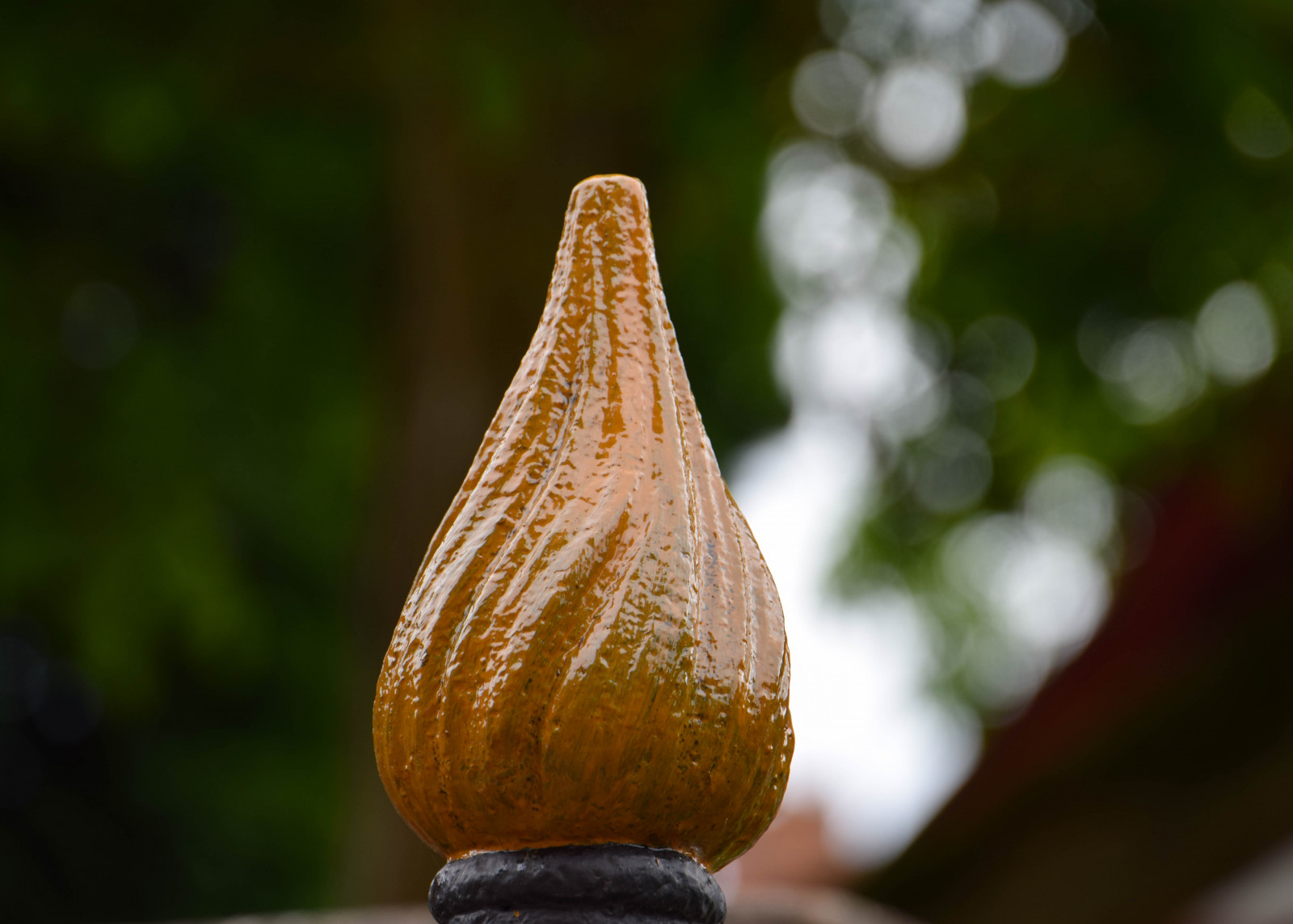 slunečnímu záření, jídlo, město, ulice, Příroda, fotografování, větev, zelená, žlutý, Švédsko, Sverige, strom, podzim, list, květ, rostlina, cityview, flóra, sk nel n, se, Lund, vyrobit, botanika, zblízka, makro fotografie, závod stonek