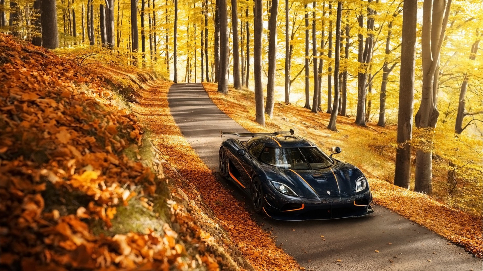 les, auto, vozidlo, Koenigsegg Agera, Koenigsegg, Džíp, strom, podzim, superauto, Snímek obrazovky, off road