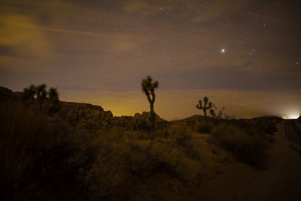3840x2560 px,evening,Joshua Tree National Park,landscape,sunset