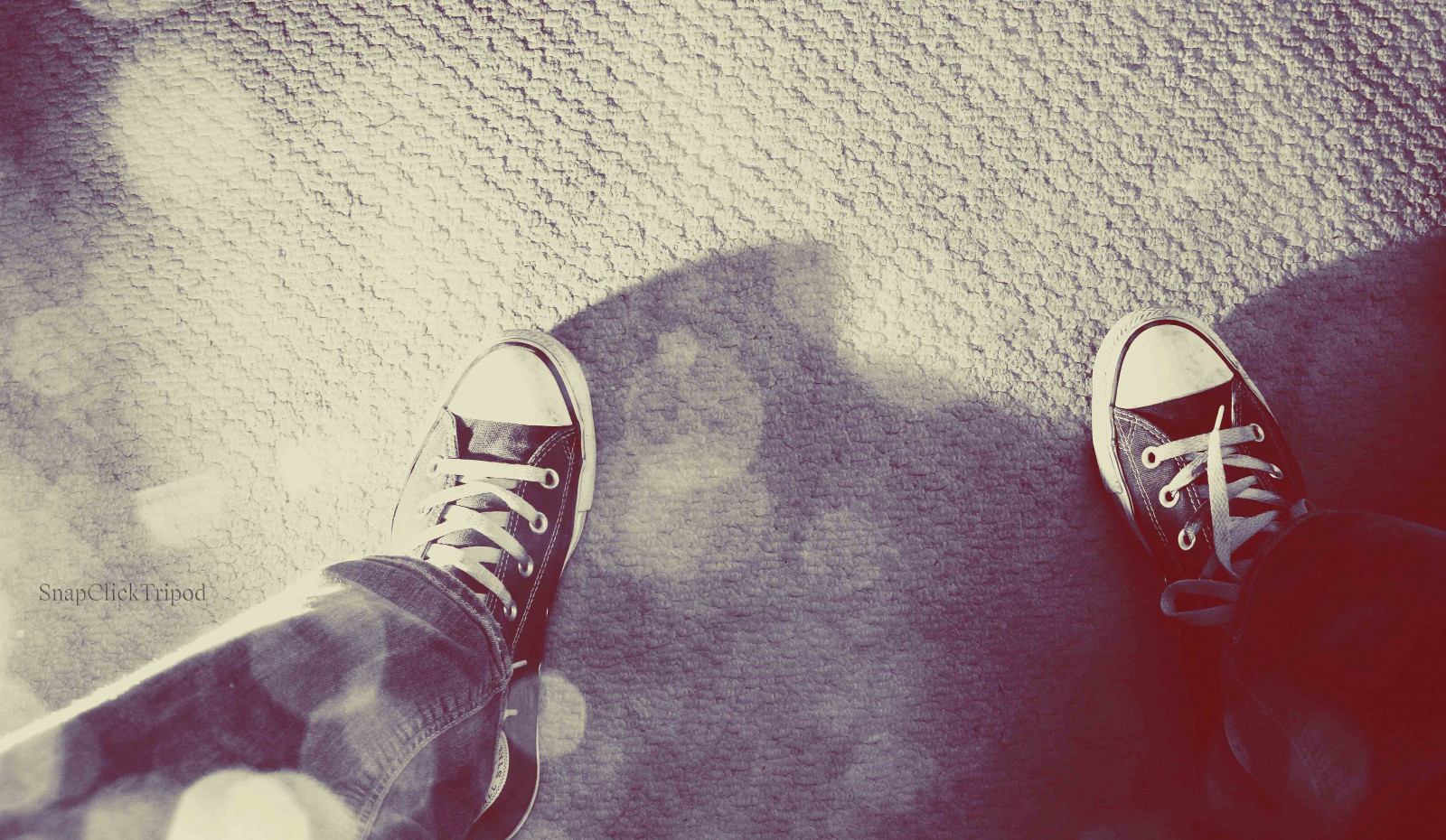 sluneční brýle, brýle, Červené, fotografování, nachový, tenisky, Konverzovat, růžový, koberec, purpurová, sklíčidla, UMĚNÍ, chladný, bokehlicious, střevíc, offcameraflash, vision care, brýlí, 3652013, 365the2013edition, tkaničky, notanothershoeshot, ichooseshoes, nenápaditý, day120365, chooseshoes, day12030apr13