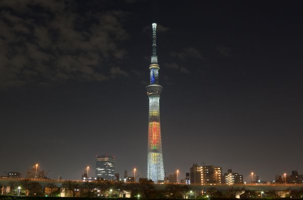 Japan,city,cityscape,night,architecture,skyline