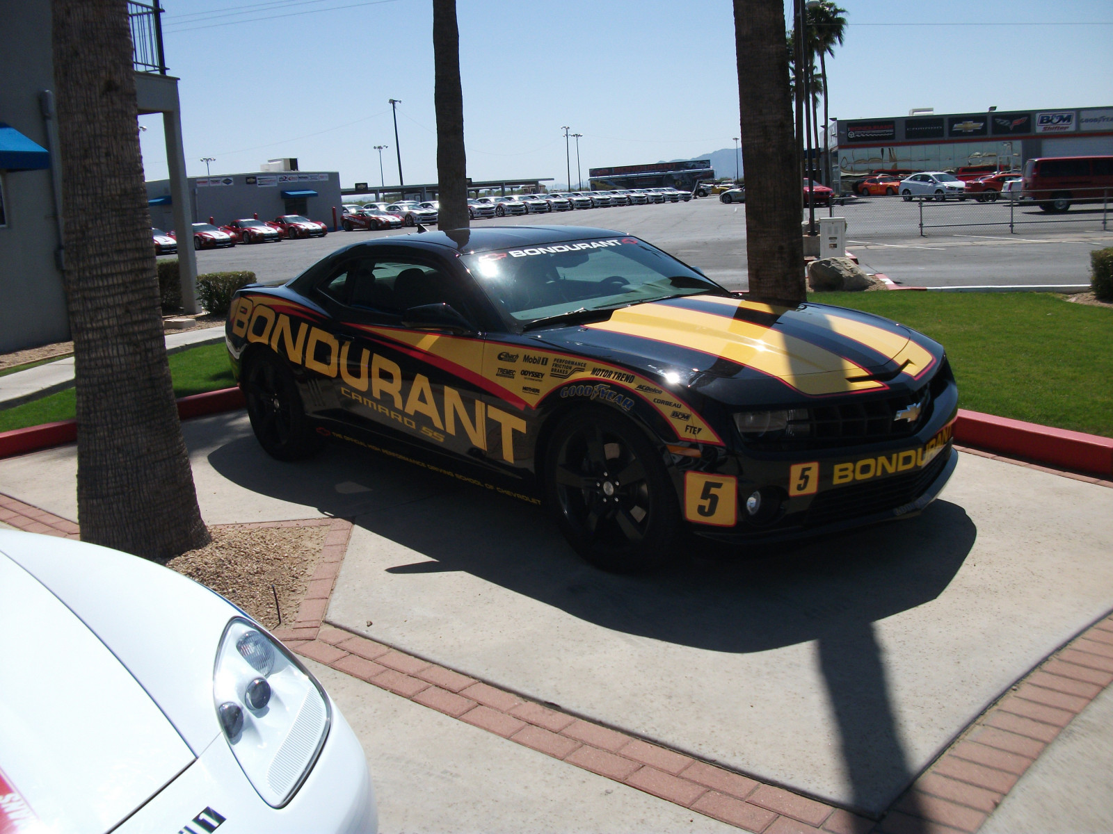 auto, veicolo, Camaro, auto sportiva, da corsa, Chevrolet Camaro, Chevrolet, macchina di spettacolo, Bondurant, ruota, gara, supercar, motorsport, veicoli terrestri, design automobilistico, esterno automobilistico, auto da corsa, marca di automobile, veicolo di lusso, pista, auto da corsa, muscle car, corsa stock car