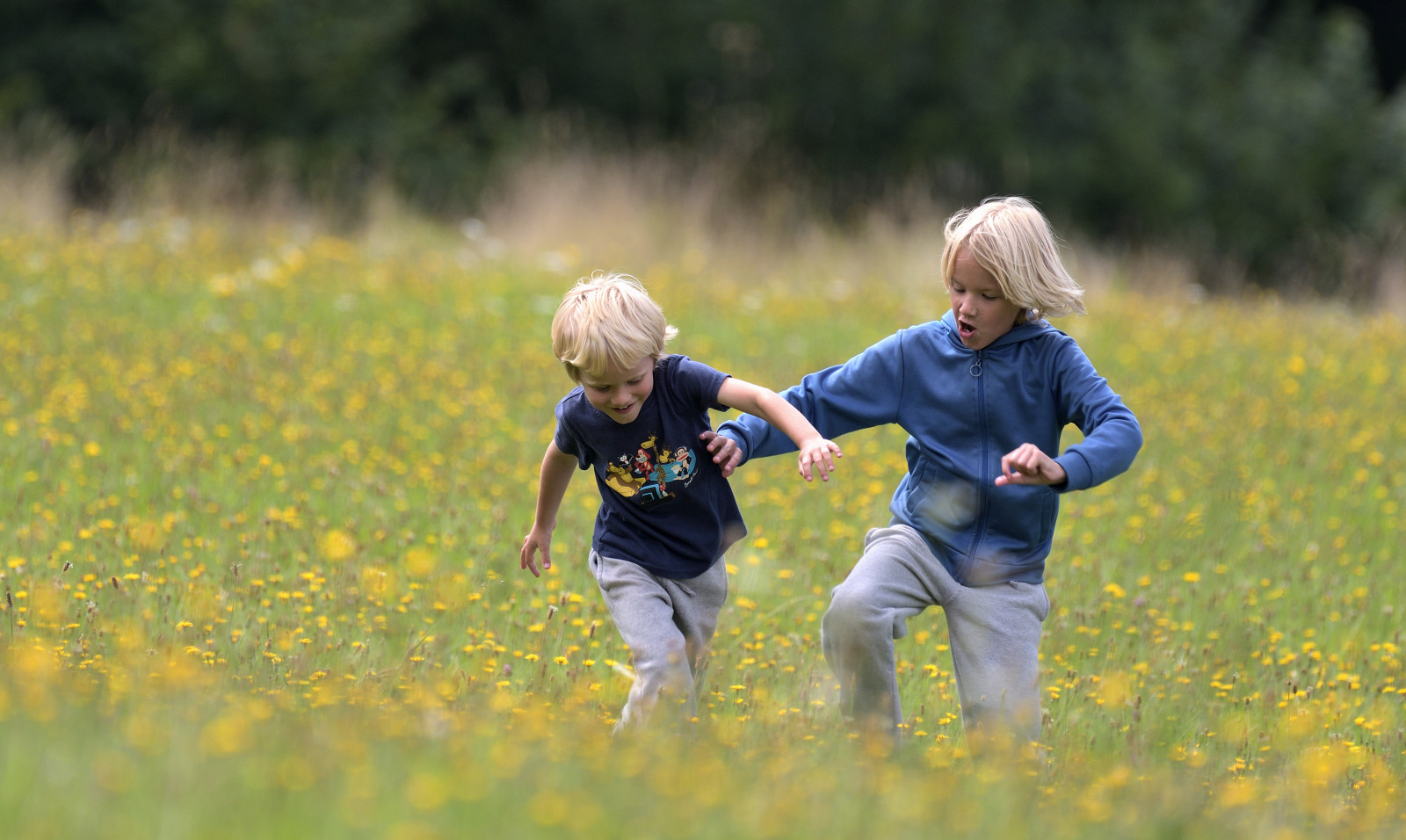 ľudia, príroda, tráva, lúka, žltá, farma, letné, kopaná, emócia, šťastie, pružina, hrať, Miláno, strom, dieťa, lučina, rastlina, muž, zábava, futbal, pasienok, fotografie, poľnohospodárstvo, lúka, Muž, rekreácia, daniel, wildflower, trávnik, prérie, plodina, Schwarzwald, čierny les, stavovcov, interakcia, tráva rodina, nikond500, nikon200500f56, Guidodekleijn, Schwarzenberg, Schwarzenbergbaiersbronn