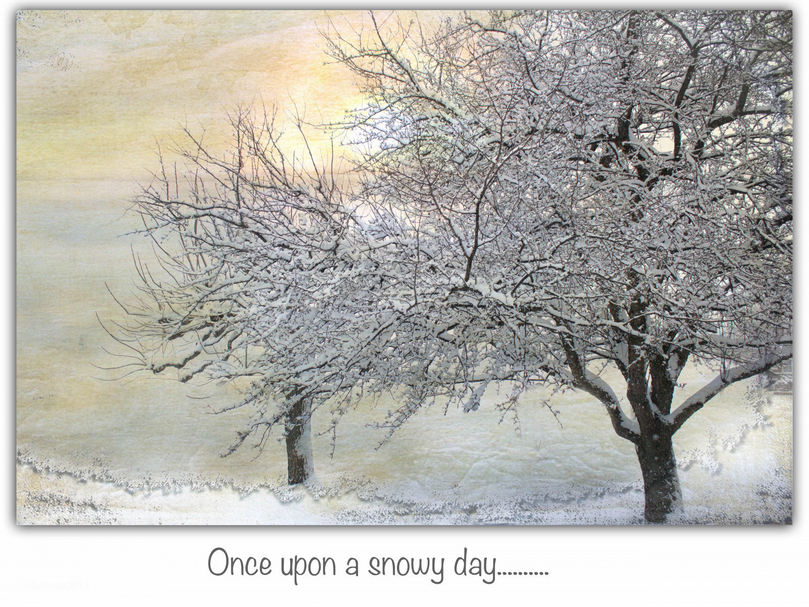 sollys, landskab, maleri, himmel, sne, vinter, kunstværk, afdeling, morgen, frost, struktur, blomst, tekstureret, Fryser, træ, maling, snestorm, billede, NGC, fantastisk, besteverexcellencegallery, tatot, qualitypixels, creativephotocafe, Kvist, akvarel, MOTAT, naturescarousel, snowyday, snowtrees, theworldofeleganttextures, feb2013, treesinourfrontyard, stock photography, visual arts