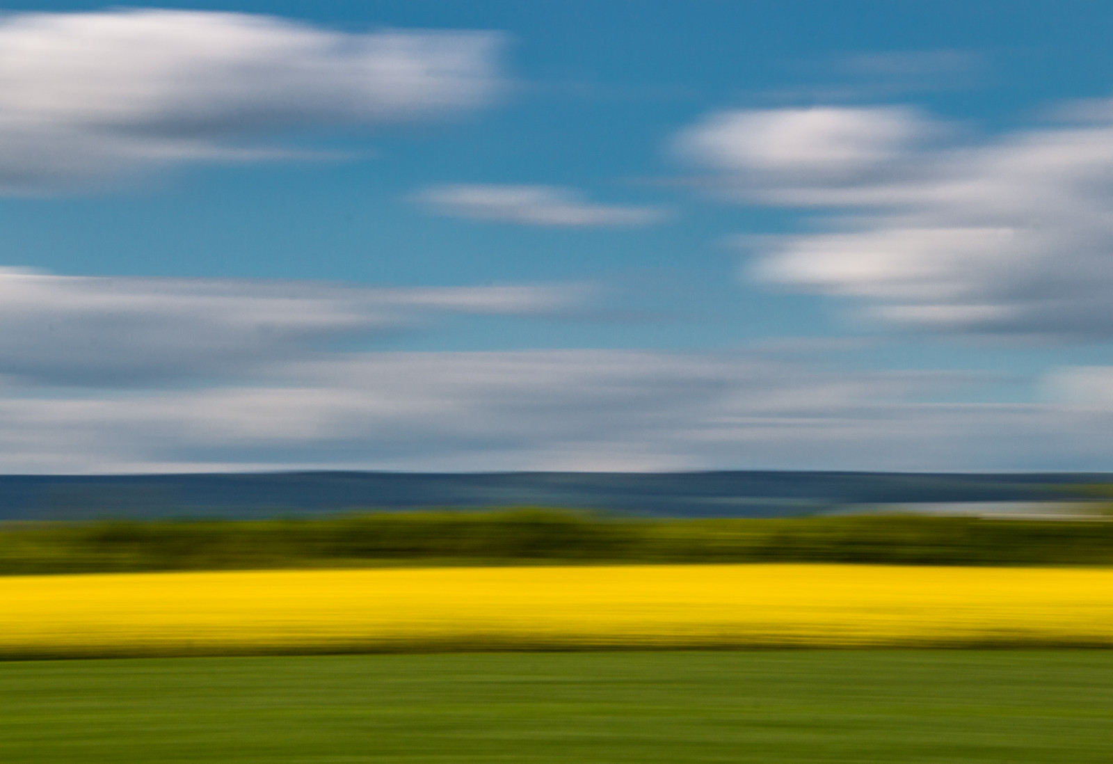 landskab, natur, græs, himmel, Mark, skyer, gul, horisont, steppe, Raps, Sky, græsarealer, Bevægelse, himmel, græs, voldtage, rapper, felter, farver, raps, eng, almindeligt, bewegung, Farben, wolken, gras, gelb, prærie, rapsfeld, levested, naturligt miljø, økosystem, græs familie, kål, sennep plante