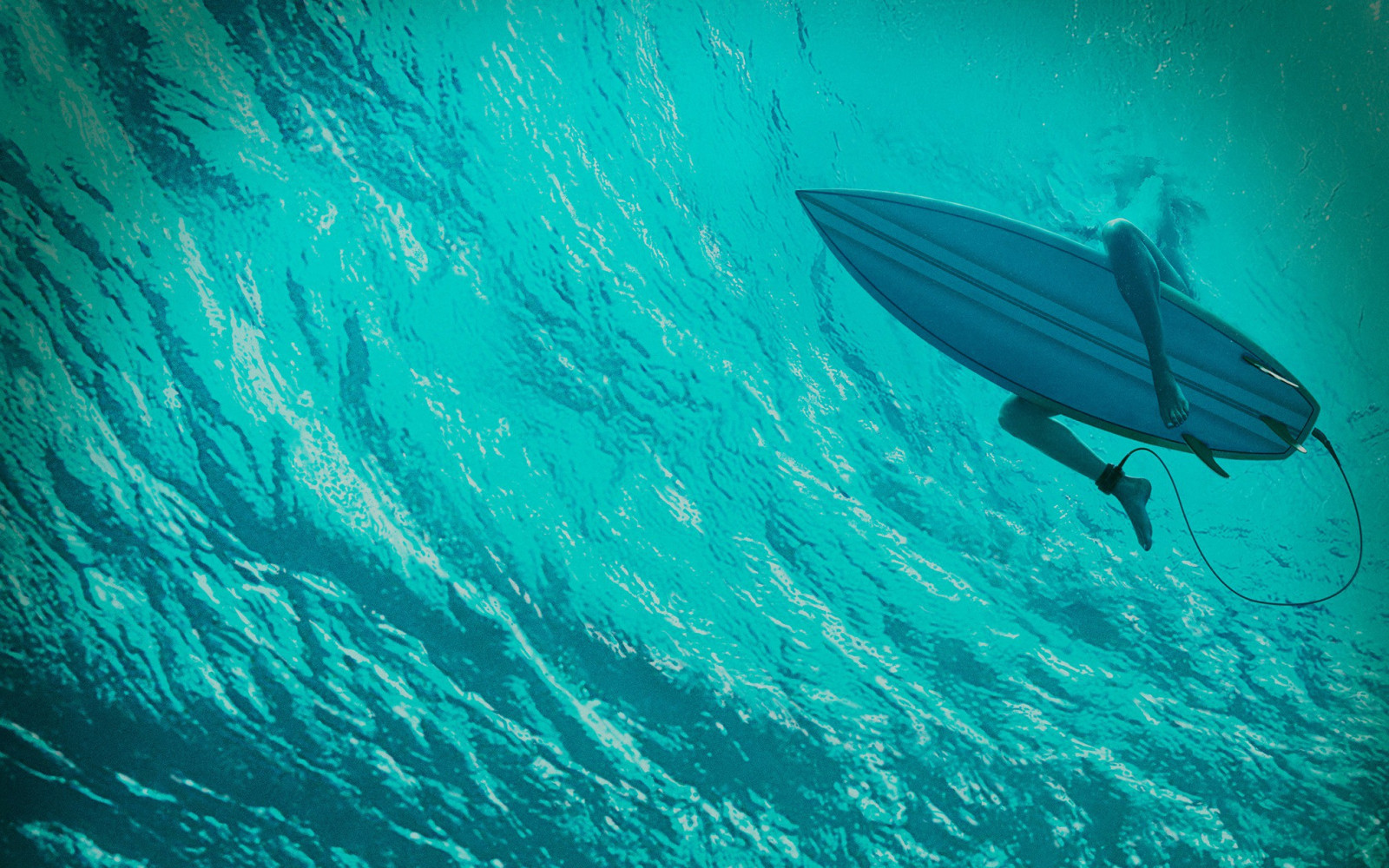 Wallpaper Sea Legs Blue Underwater Surfers Ocean Wind Wave Marine Biology Marine 