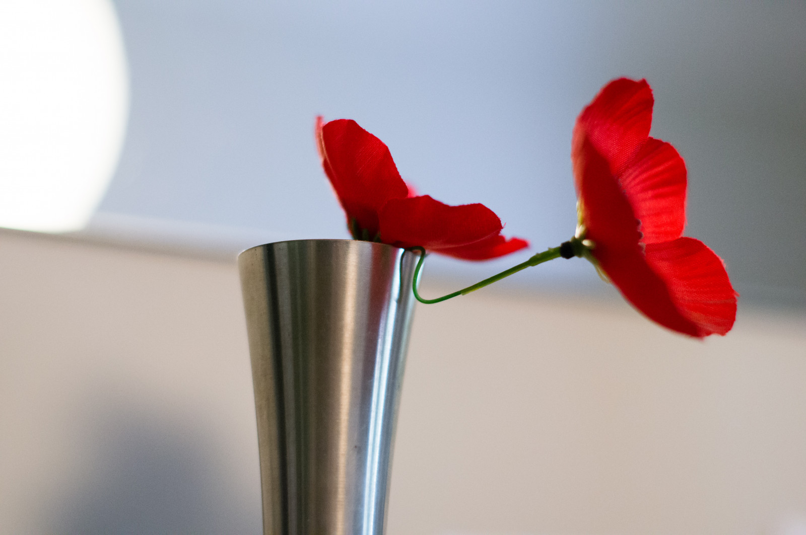 květiny, vlčí mák, M42, váza, Plastové květiny, cín, smctakumar50mm14