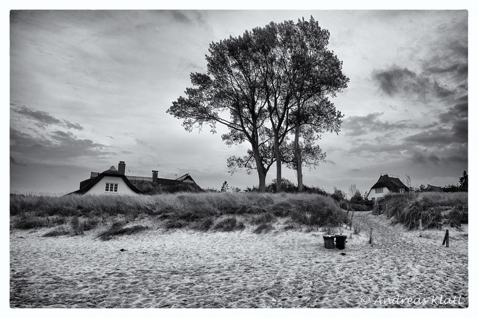 krajina, černobílý, nebe, zima, pole, fotografování, větev, ráno, Německo, pobřeží, Nikon, 2014, mrak, strom, rostlina, tělesné, pramen, deutschland, SW, Ostsee, baum, Urlaub, d3, Baltské moře, k ste, venkov, Černý a bílý, monochromatické fotografování, dřevina, meteorologický jev, Klatt, andreasklatt, abuklaa, Darss, 2870, D hne, stock photography