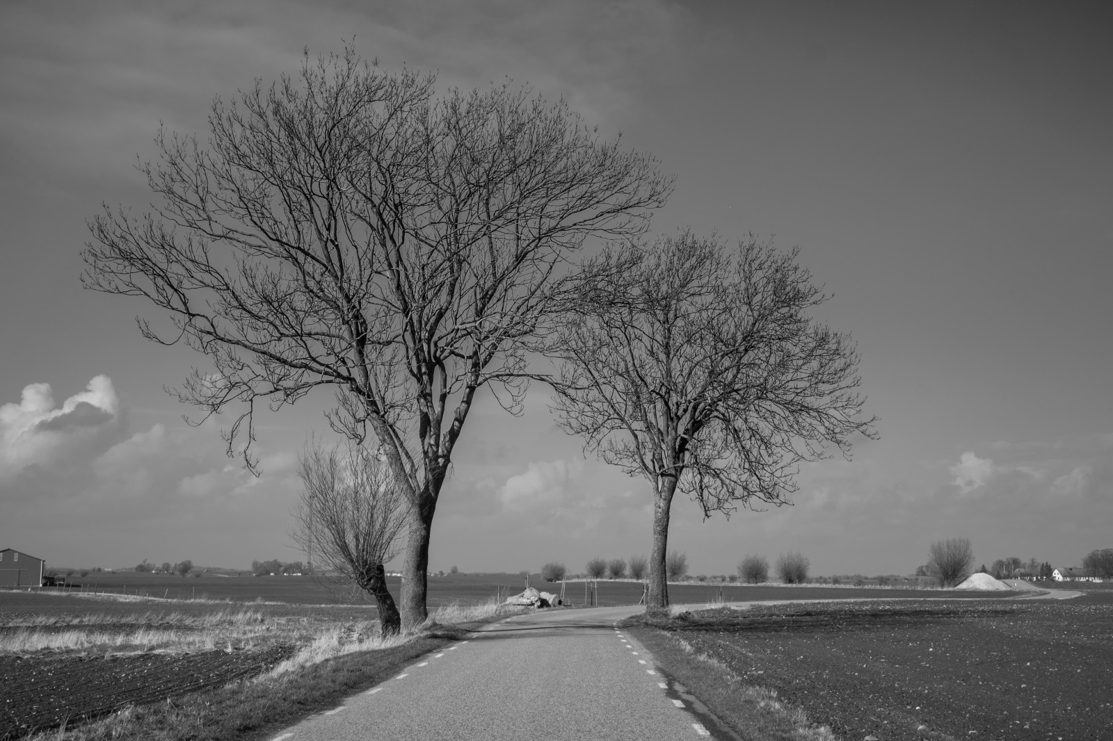 krajina, černobílý, sníh, zima, větev, ráno, mlha, mráz, zmrazení, Černý a bílý, mrak, strom, mlha, počasí, svítání, rostlina, sezóna, tělesné, tr d, venkov, svartvitt, landsbygd, s dersl tt, landskap, tma, atmosférický jev, Černý a bílý, monochromatické fotografování, dřevina