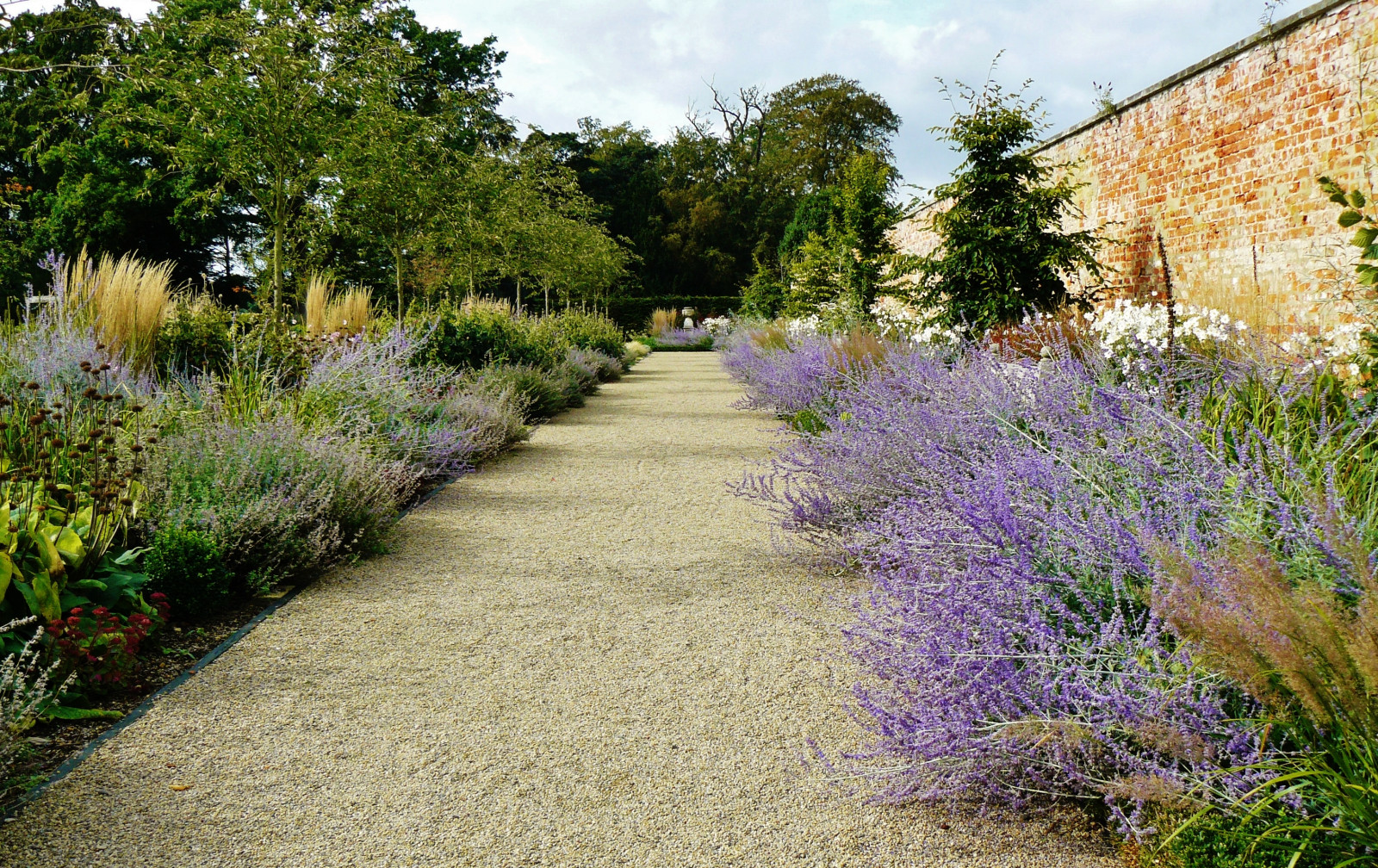 wynyardhallrosegardenscodurhamuk, sirjohnhall, Walledgardens, zahrada, countryestates, perspektivní, rostliny, květiny, flóra, Davidaustinroses, růže, cesty, codurham, northeastengland, Příroda